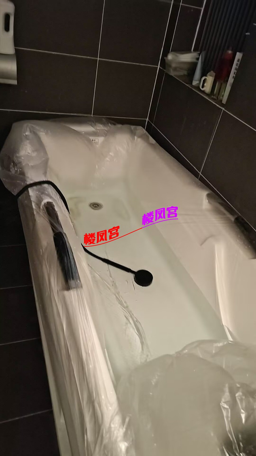 Image_1756012764882.jpg