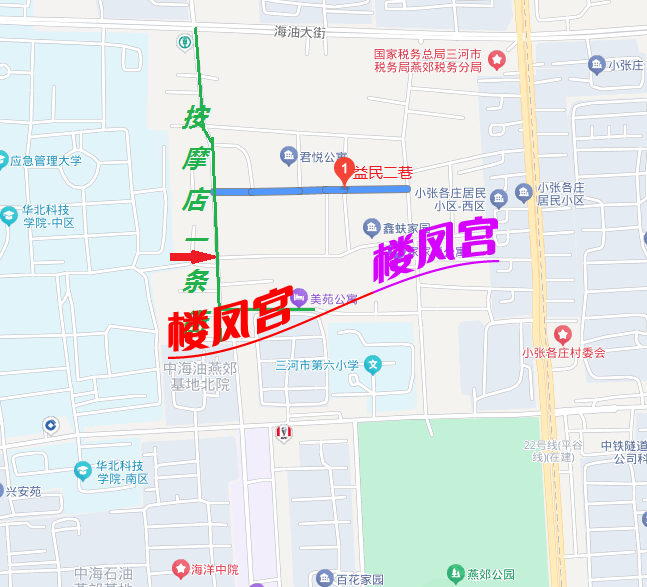 小张各庄站街和按摩街